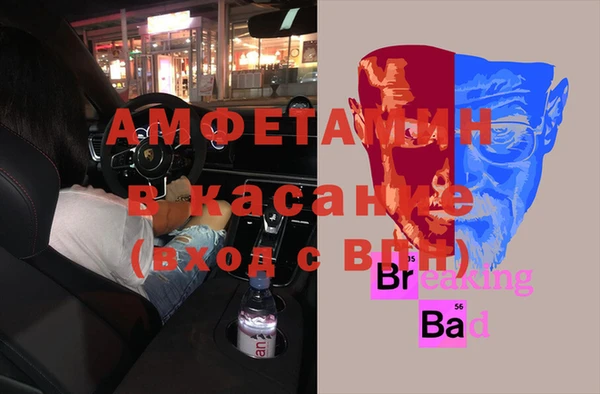 шишки Армянск