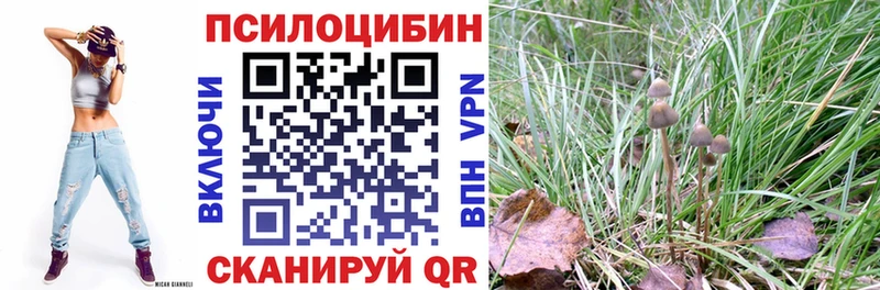 Галлюциногенные грибы MAGIC MUSHROOMS  Ахтубинск 
